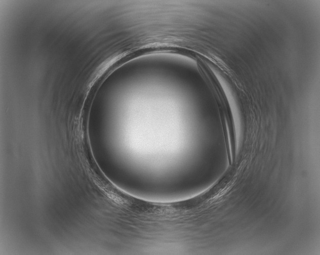 X0000057100885200509091201