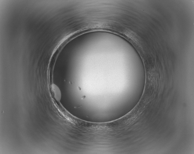 X0000057100886200509091201