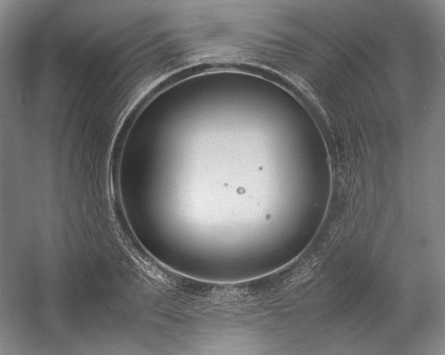 X0000057100887200509091201