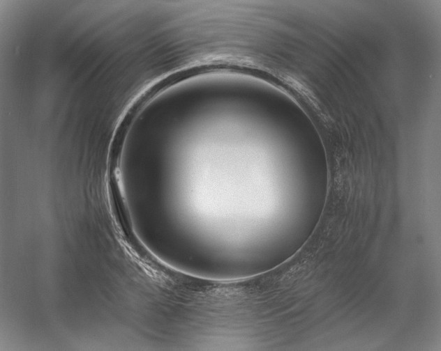 X0000057100888200509091201