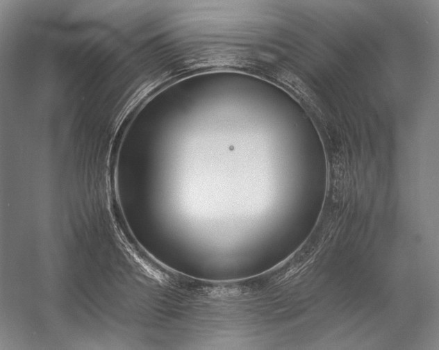 X0000057100890200509091200