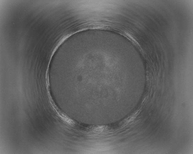 X0000057100891200509091200