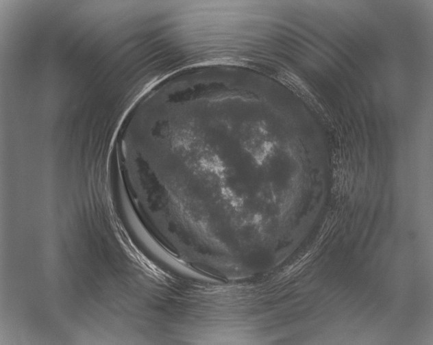 X0000057100892200509091200