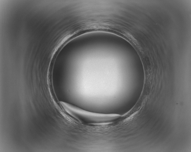 X0000057100893200509091200