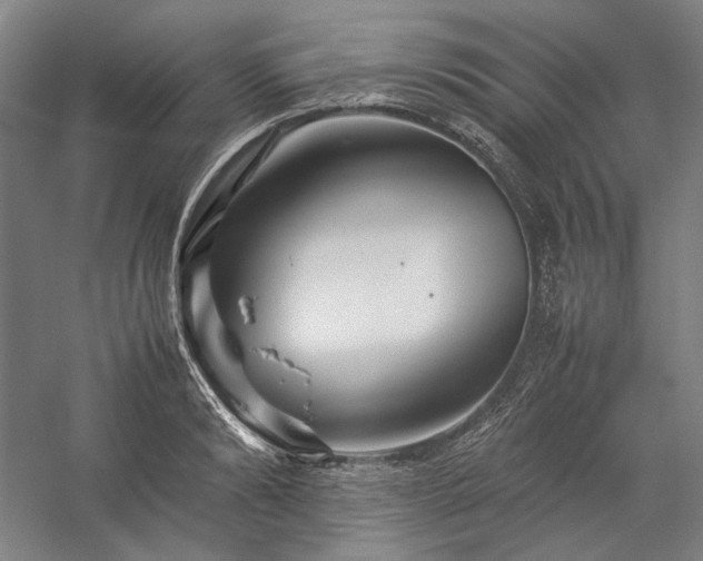 X0000057100894200509091200