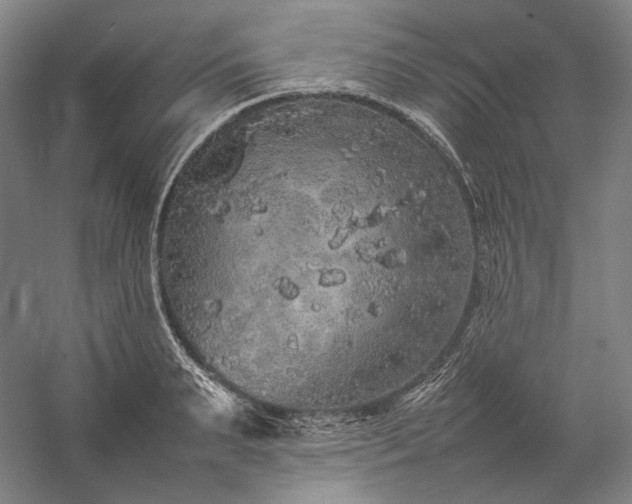 X0000057100895200509091200