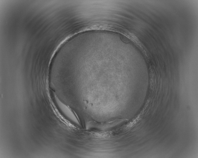 X0000057100896200509091200