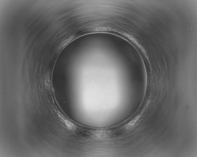 X0000057100897200509091200