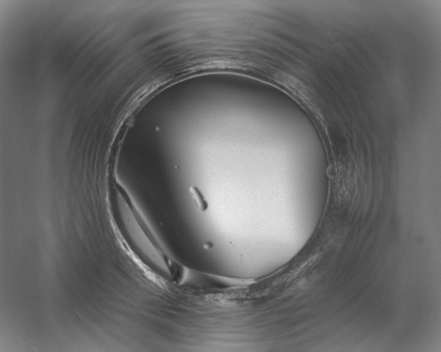 X0000057100898200509091200