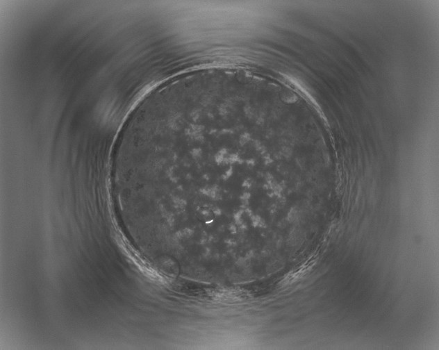 X0000057100899200509091200