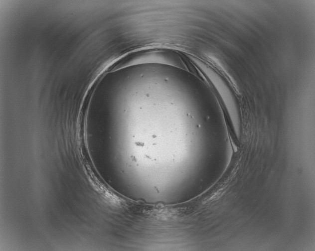 X0000057100900200509091200