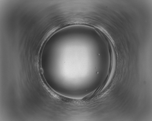 X0000057100901200509091200