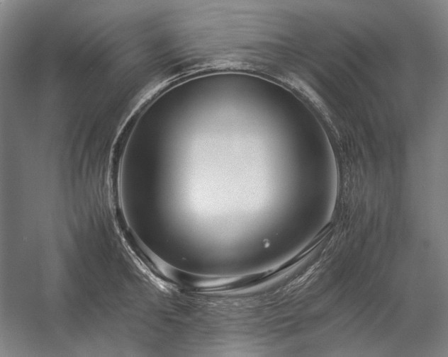 X0000057100902200509091200