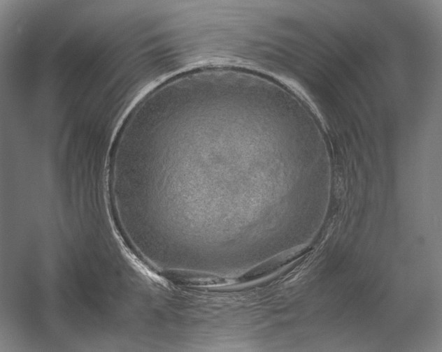 X0000057100903200509091200