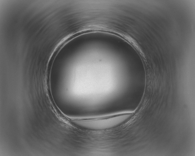 X0000057100904200509091200