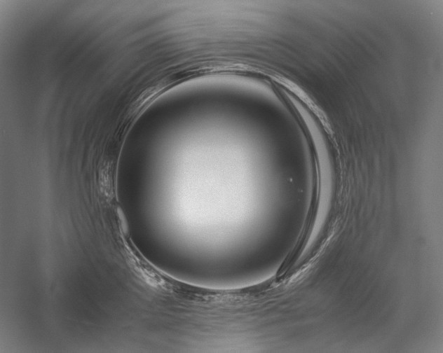 X0000057100905200509091200