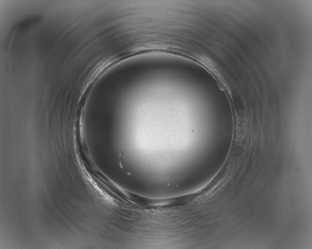 X0000057100906200509091200