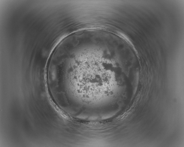 X0000057100907200509091200