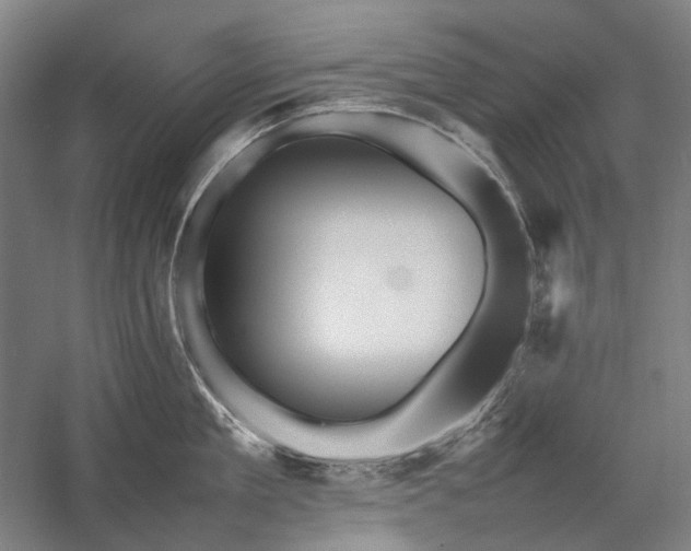 X0000057100909200509091200