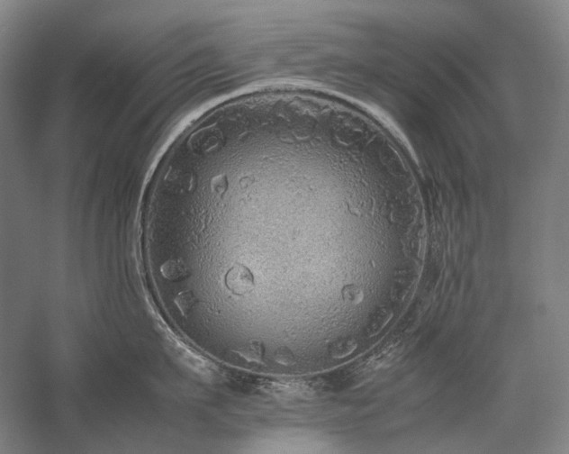 X0000057100911200509091200