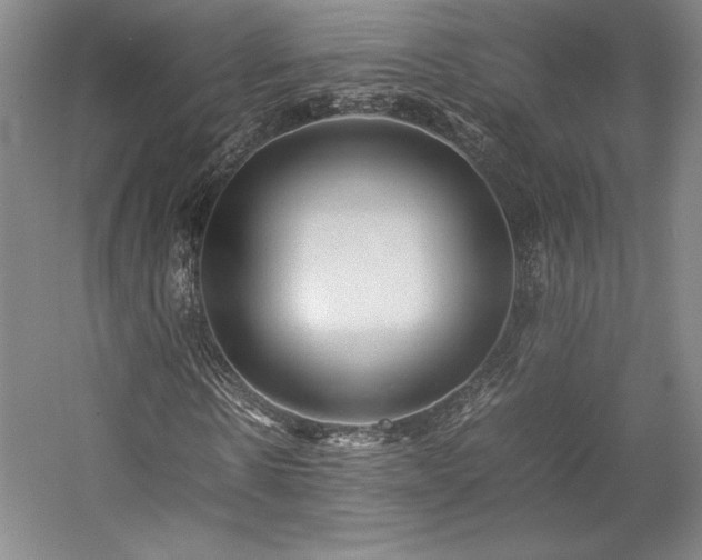 X0000057100914200509091159