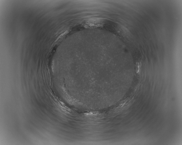 X0000057100915200509091159