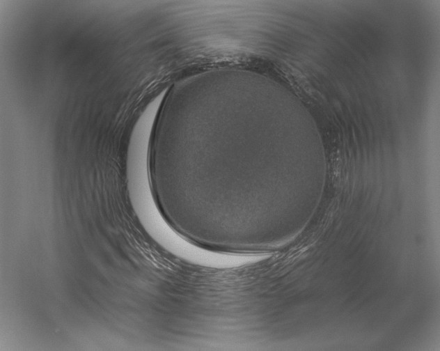 X0000057100916200509091159