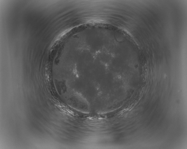 X0000057100919200509091159