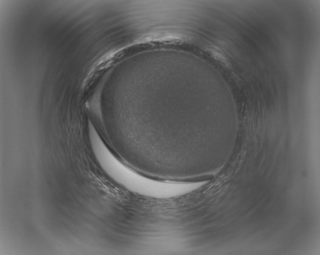 X0000057100920200509091159