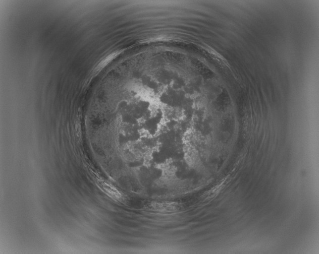 X0000057100921200509091159