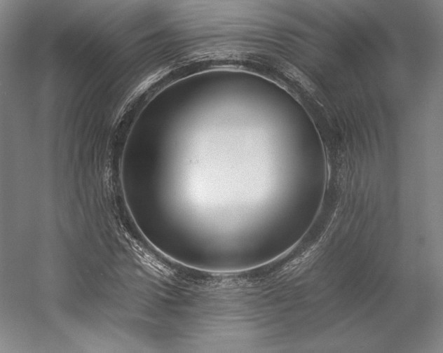 X0000057100922200509091159