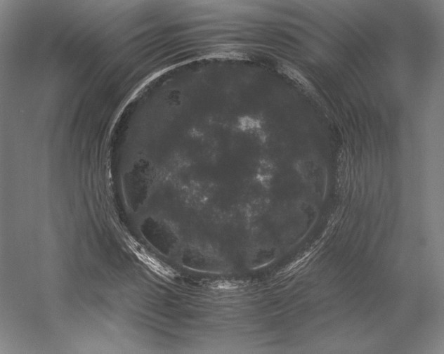 X0000057100923200509091159