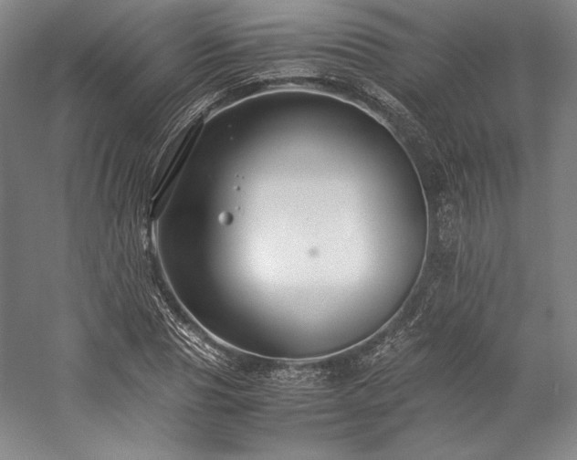 X0000057100929200509091200