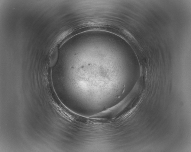 X0000057100930200509091200