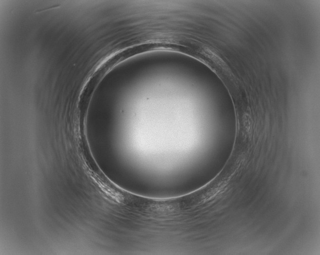 X0000057100931200509091200