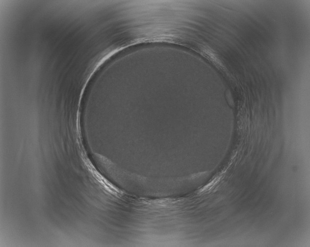 X0000057100932200509091200