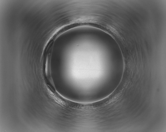 X0000057100934200509091200