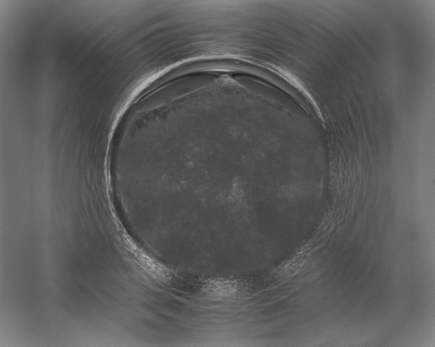 X0000057100935200509091200