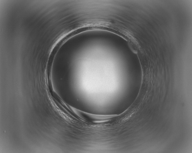 X0000057100936200509091200