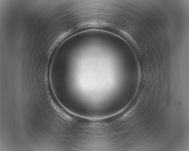 X0000057100938200509091200