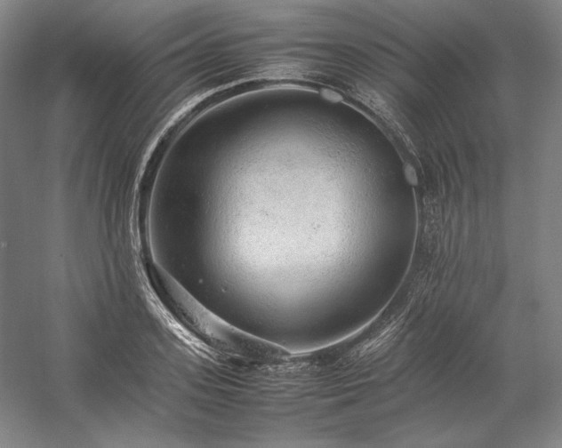 X0000057100939200509091200