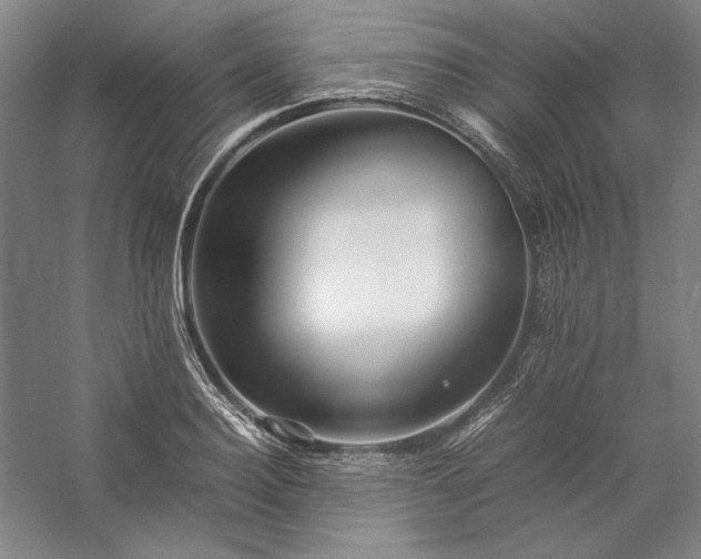 X0000057100940200509091200