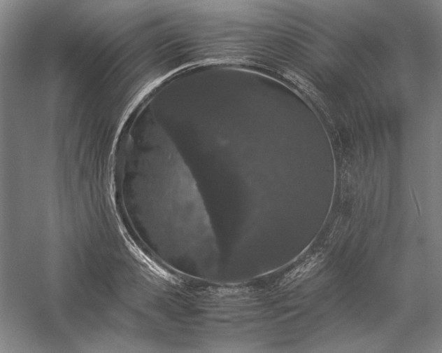 X0000057100941200509091200