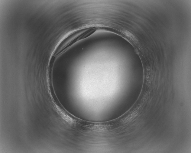 X0000057100942200509091200