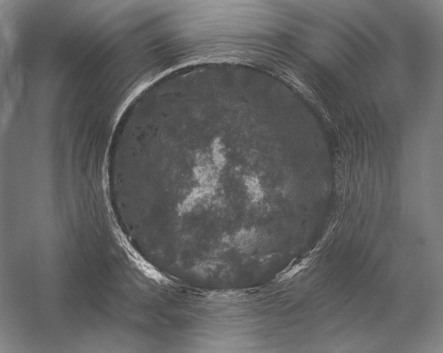 X0000057100944200509091200