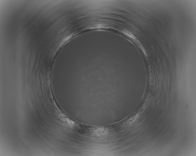 X0000057100945200509091200