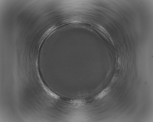 X0000057100946200509091200