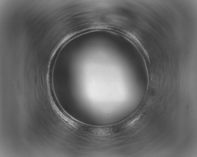 X0000057100947200509091200