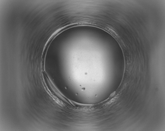 X0000057100948200509091200