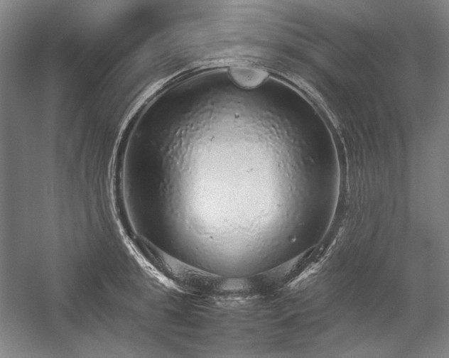 X0000057100949200509091200